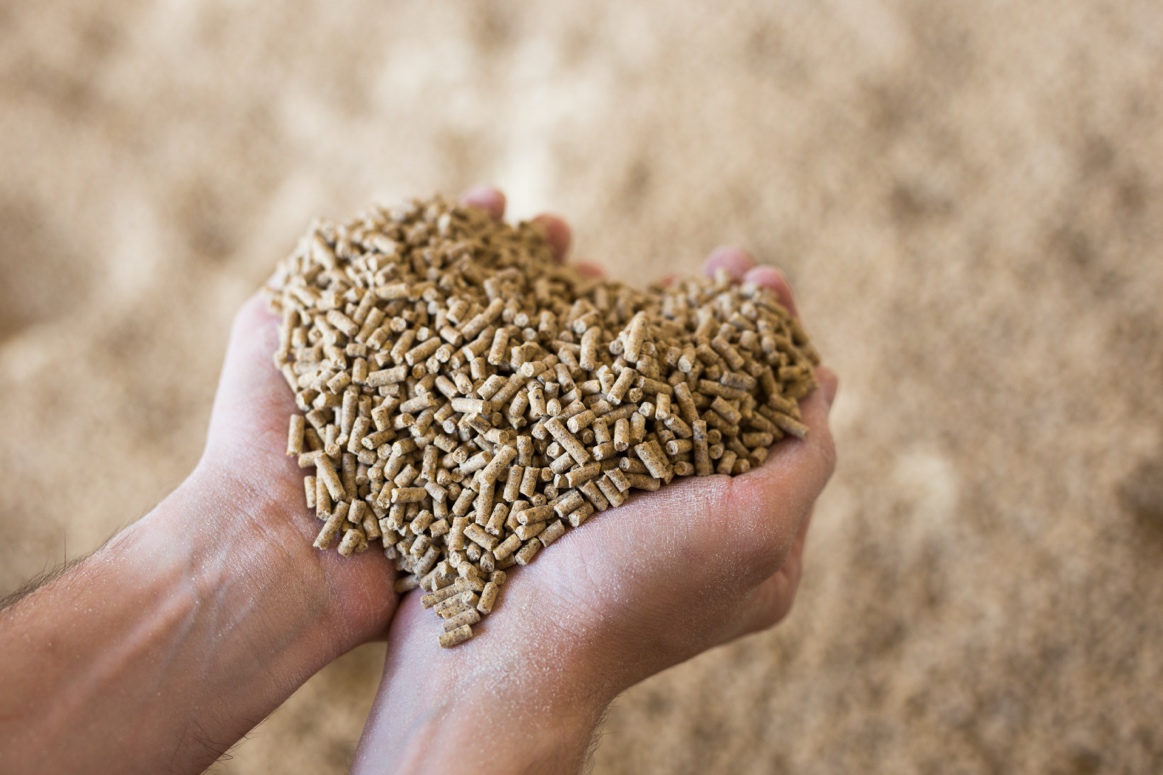 High-Quality Feed Production